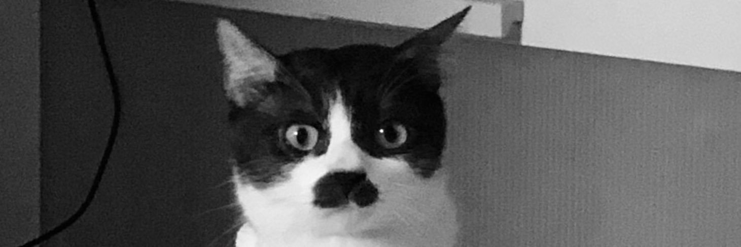 _____hei's profile banner image