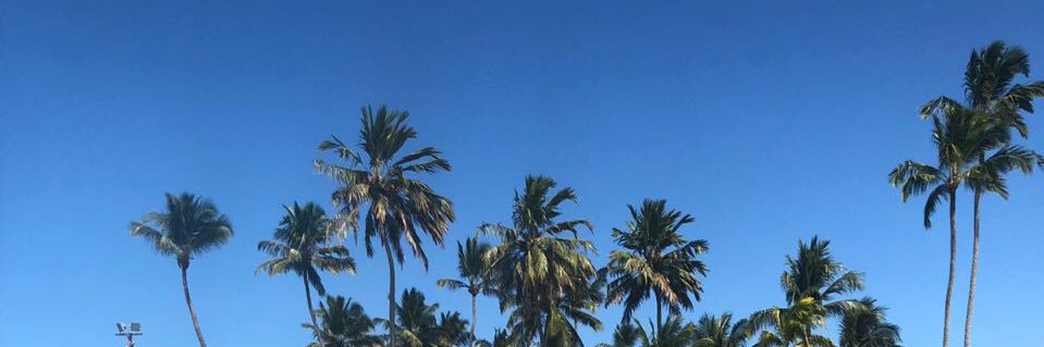roobascones's profile banner image