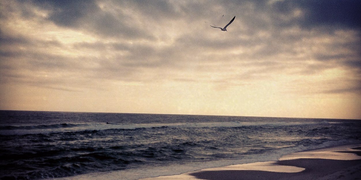 jonikegibson's profile banner image