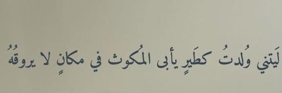 asma9lll's profile banner image