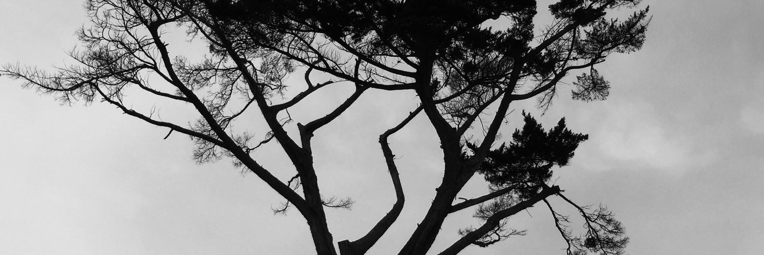 MirjamBoone's profile banner image
