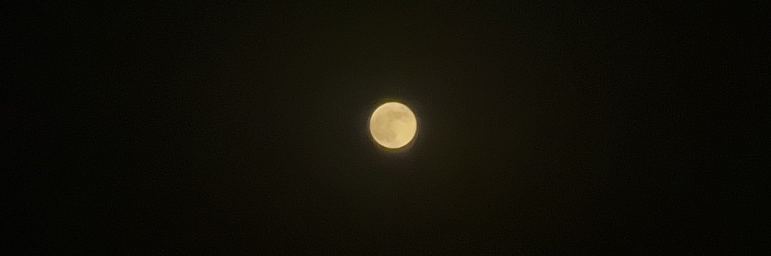 Beeashkanani's profile banner image