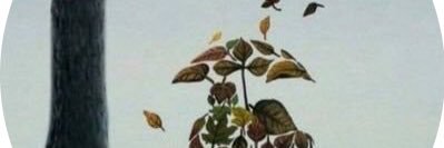 9_jkk's profile banner image