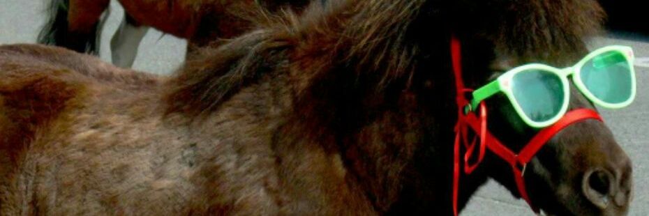 ohitspotato's profile banner image