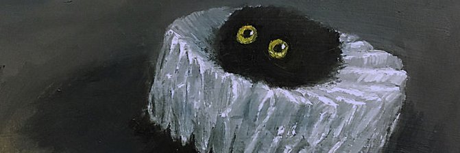 CatSlayerGG's profile banner image