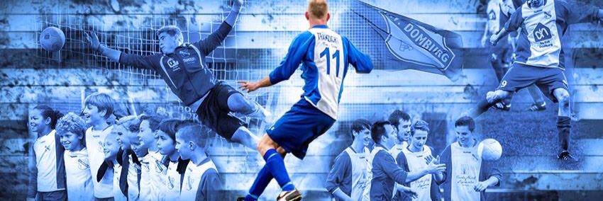 vvdomburg's profile banner image