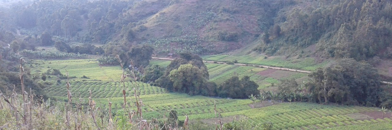 Aluna Chawala banner