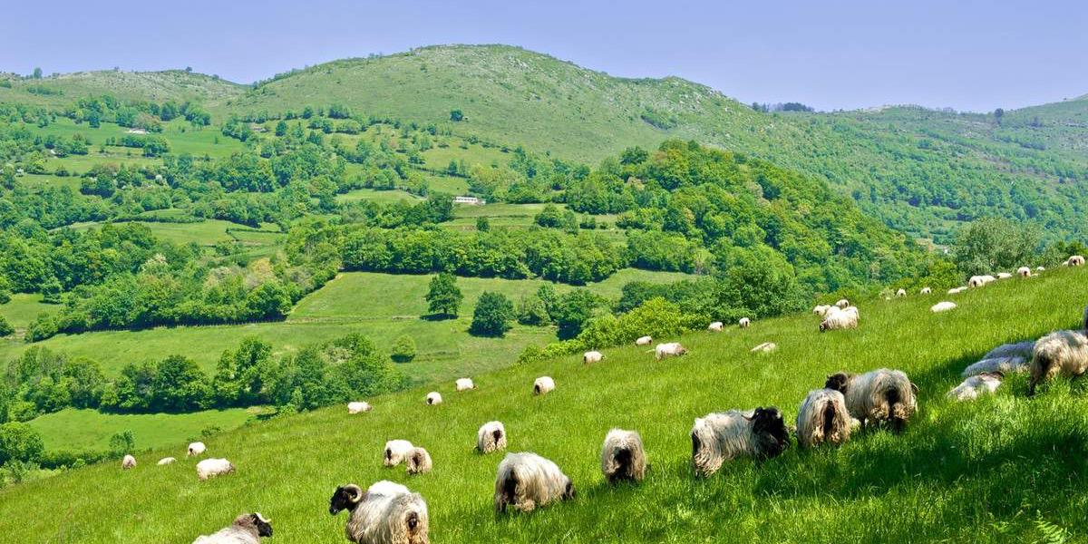 oliber box ن banner