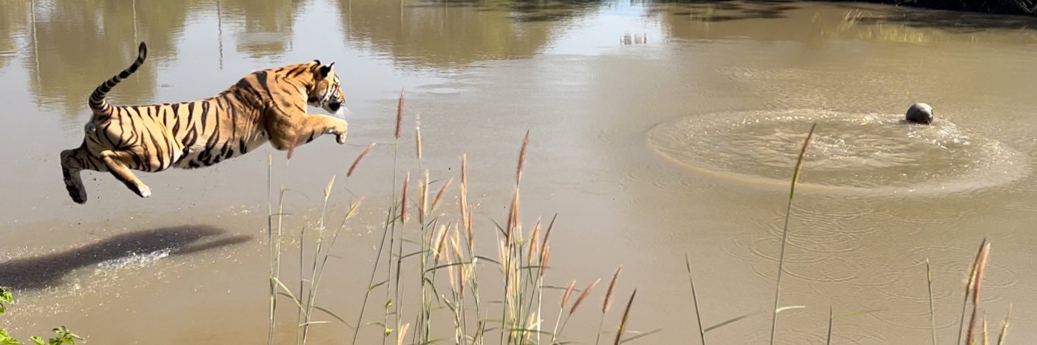 EdwinWiek's profile banner image