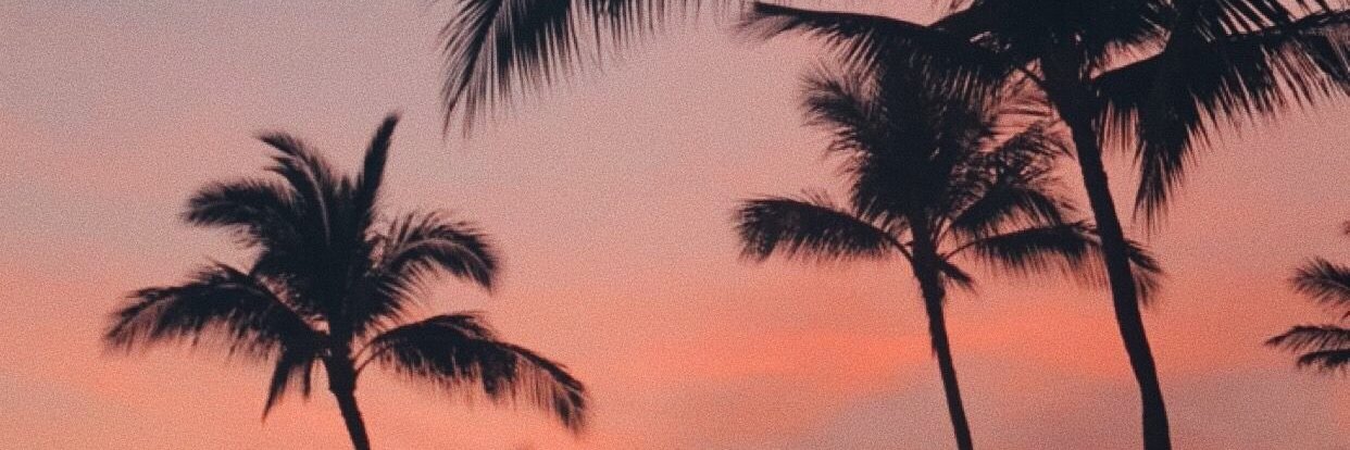 AgusshF's profile banner image