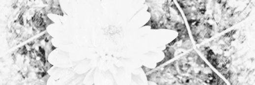 sitikhomaa's profile banner image