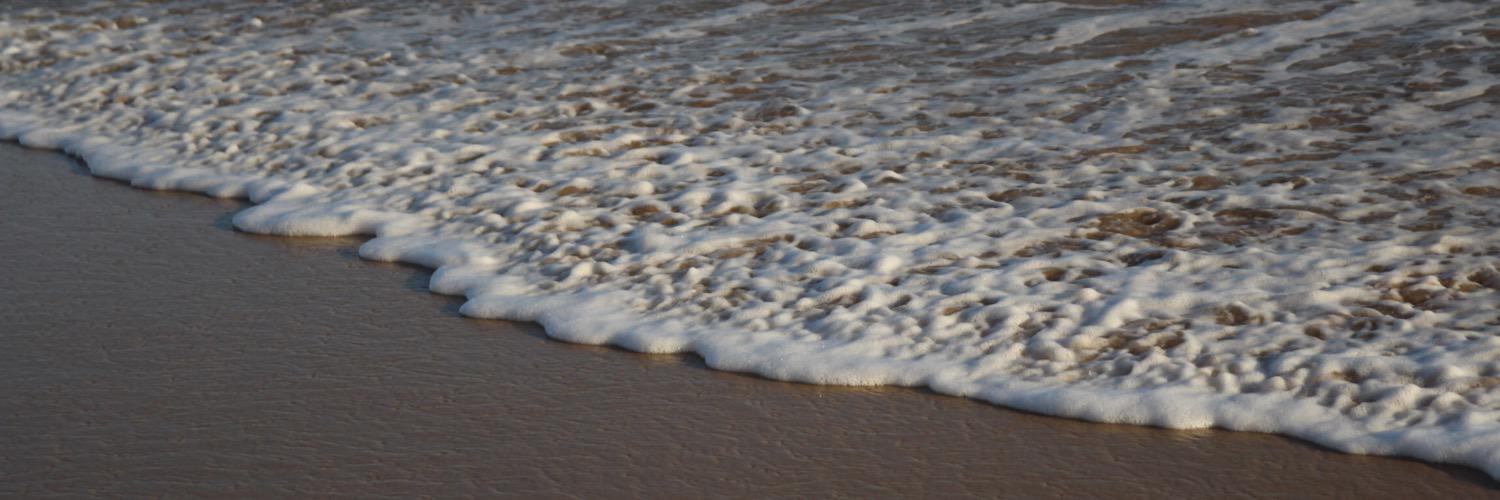 Alistair Mackay banner