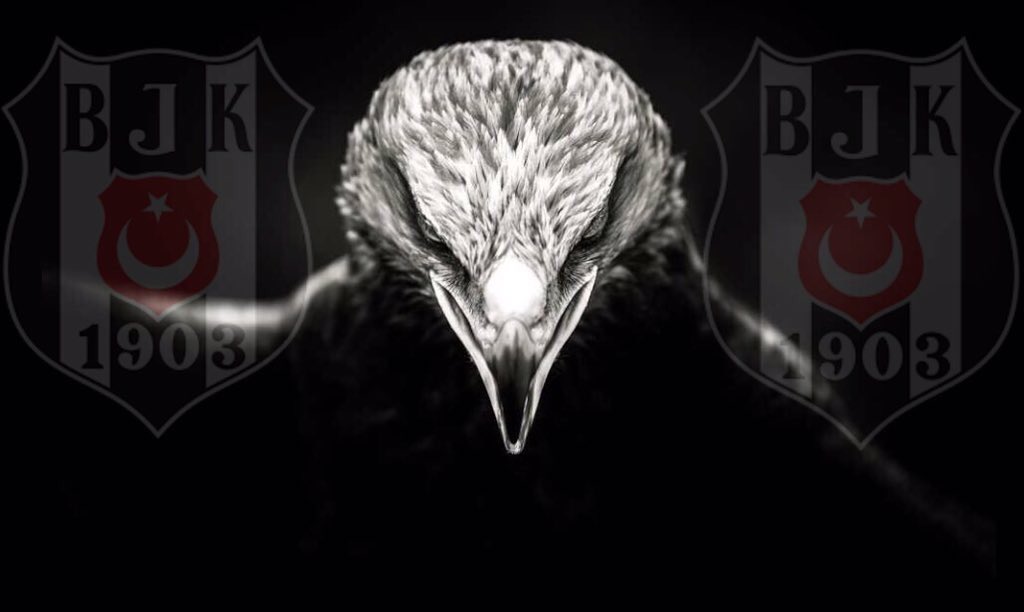 rexothek's profile banner image