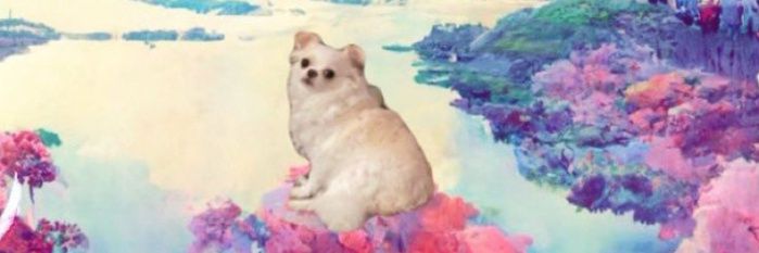 Notkelbel_'s profile banner image