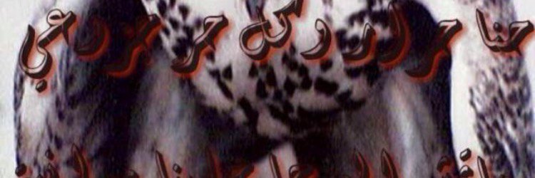 _625164301184's profile banner image
