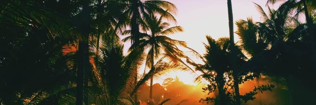 __nisaa______'s profile banner image