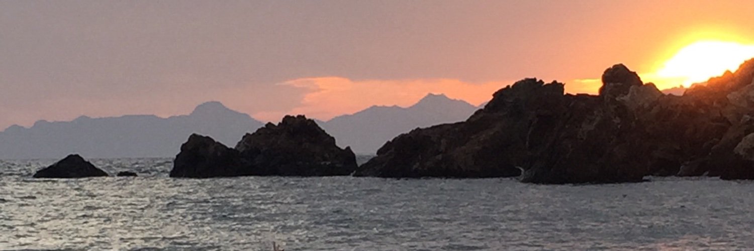 MariaPilarAlcar's profile banner image