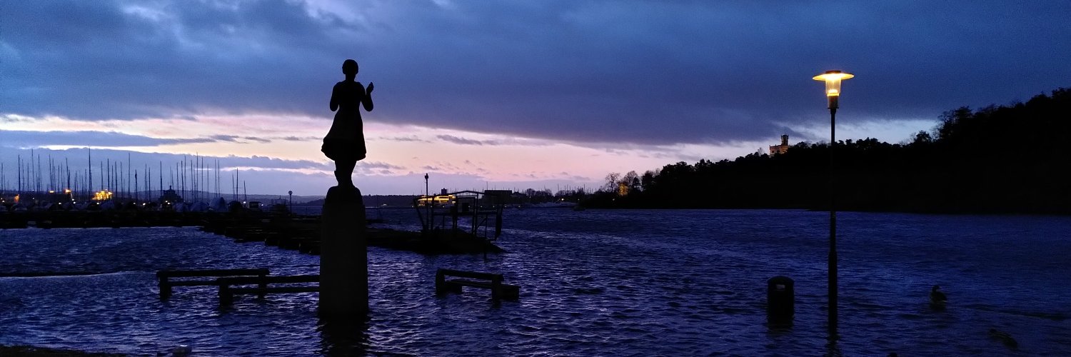 innblanda's profile banner image