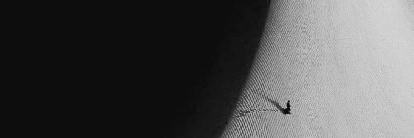 Hamed Abdi banner