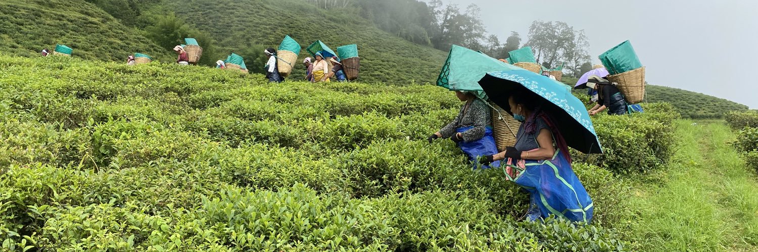 Marion Laouamen banner