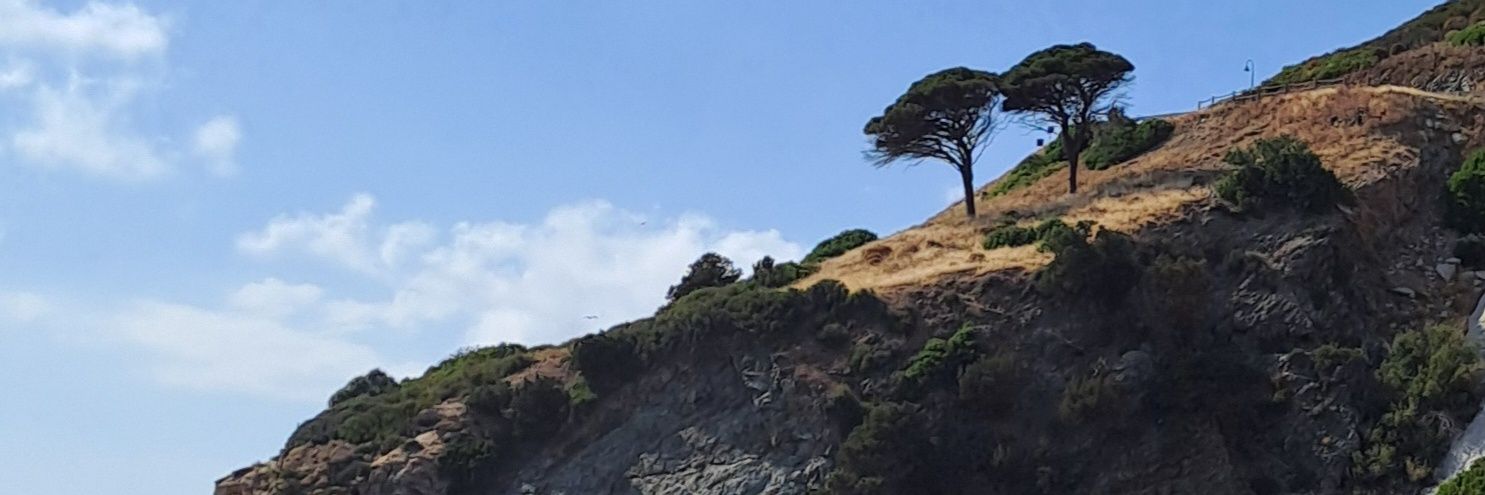 niclarina's profile banner image