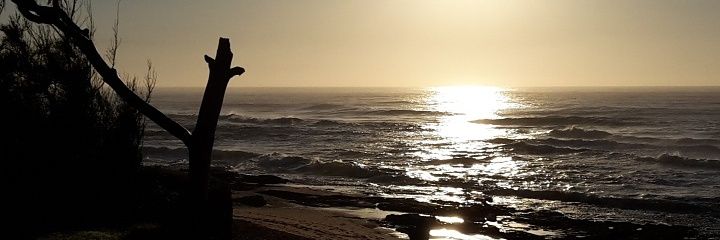 Cappy banner