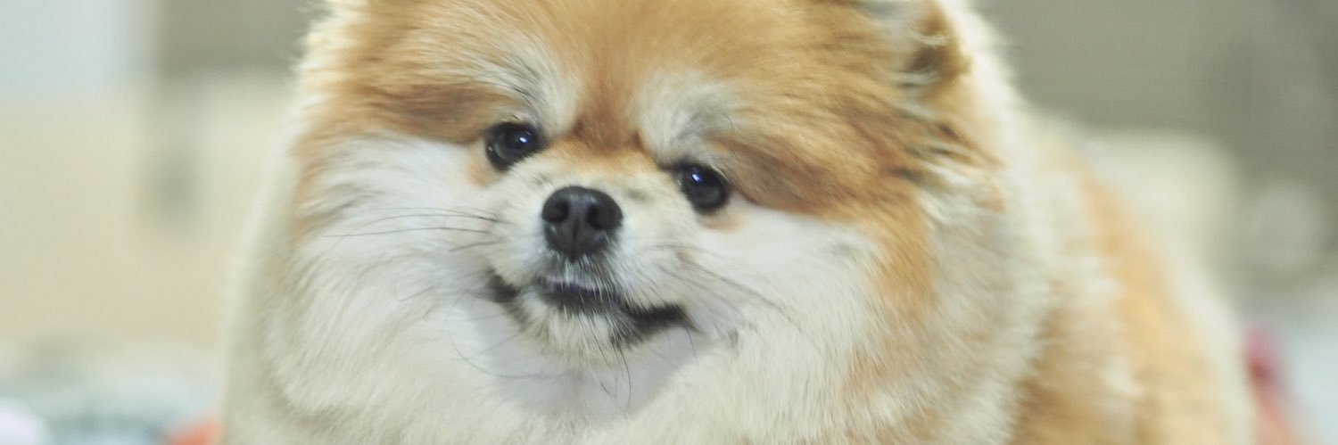 exoogpn's profile banner image