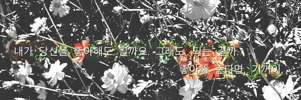 _lsp1913's profile banner image