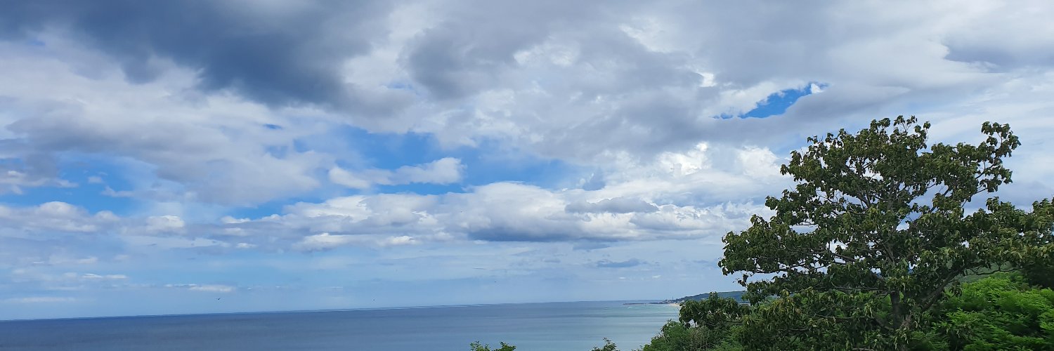 losic626's profile banner image