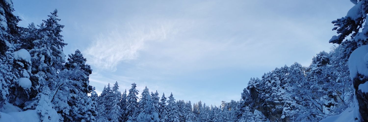 expelliarmousse's profile banner image