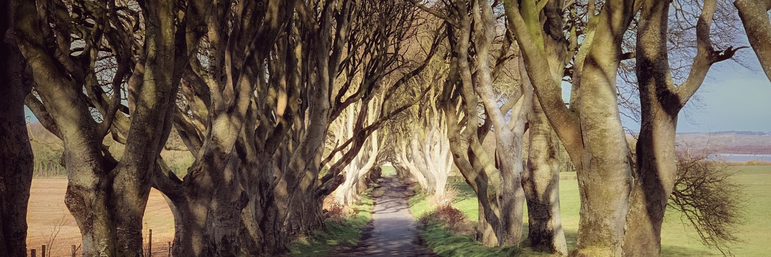 betterwhenwetravel banner