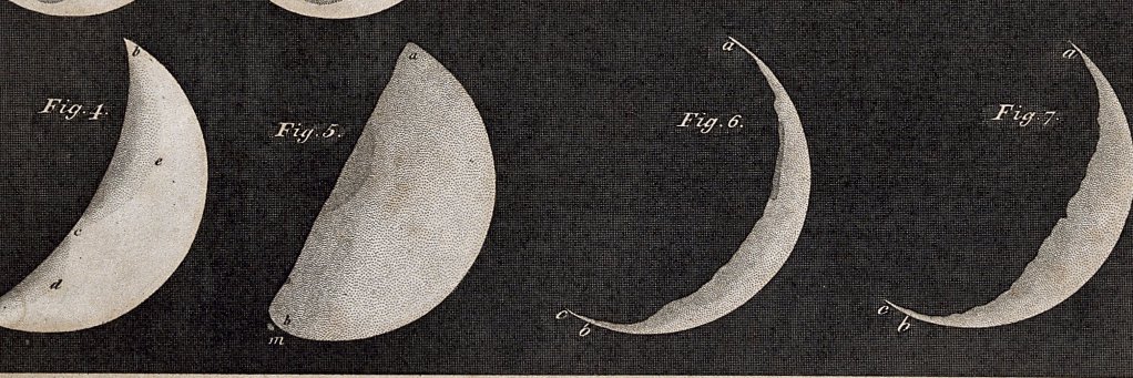 nicola c. 🌙 banner