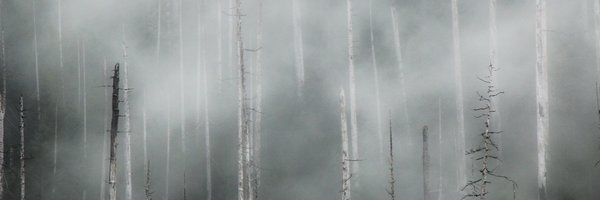 dudman_karl Profile Banner