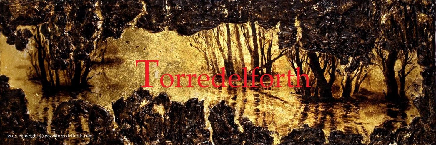 torredelforth's profile banner image