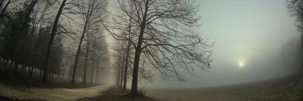 Pfiver Profile Banner