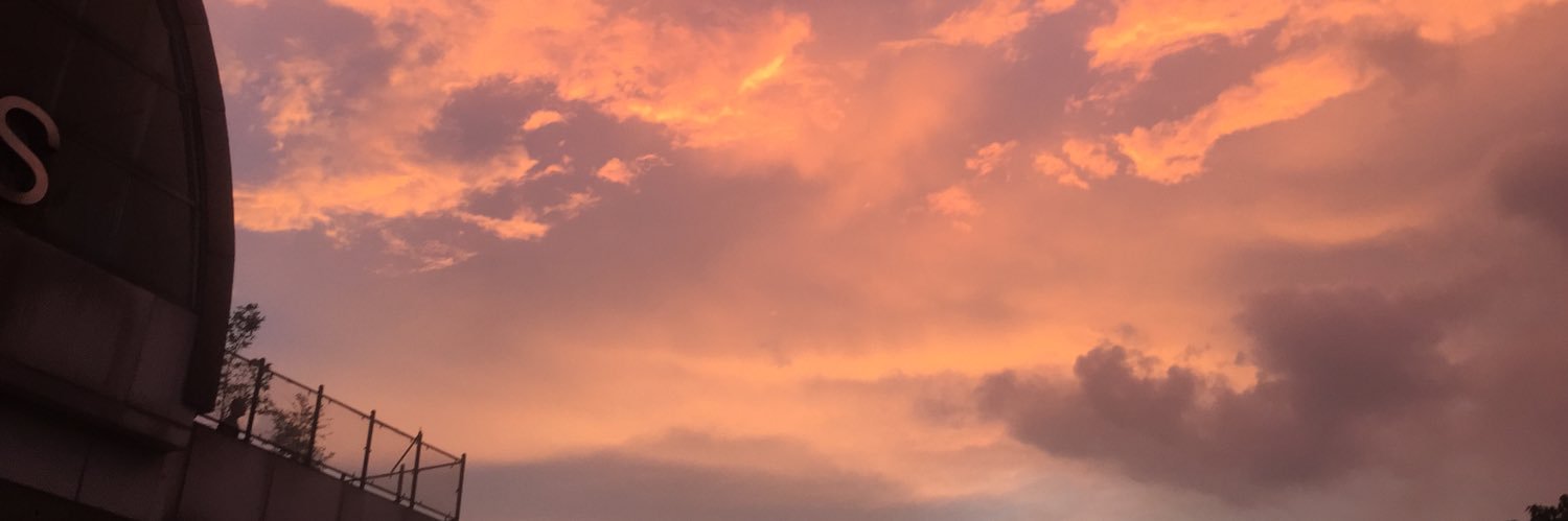 nutellacrispy's profile banner image