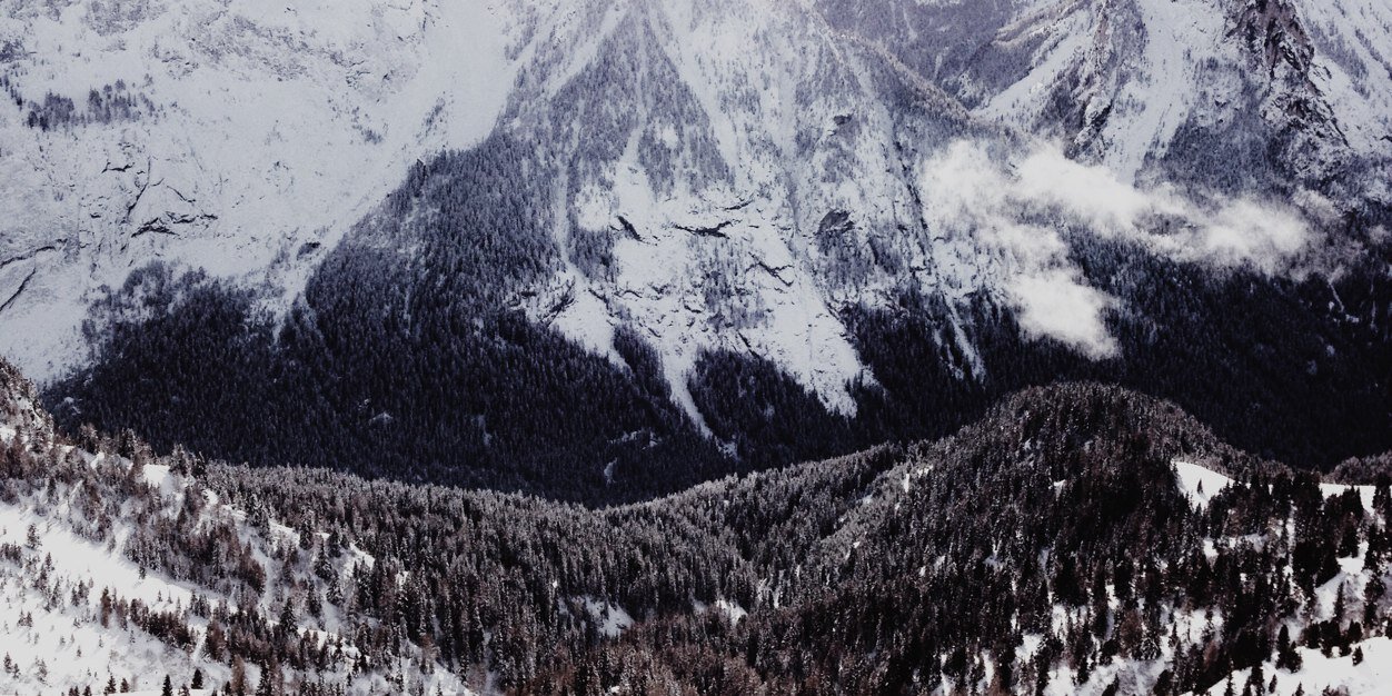 G.C. banner