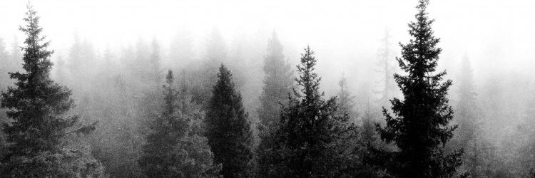 mpms_m5p3's profile banner image