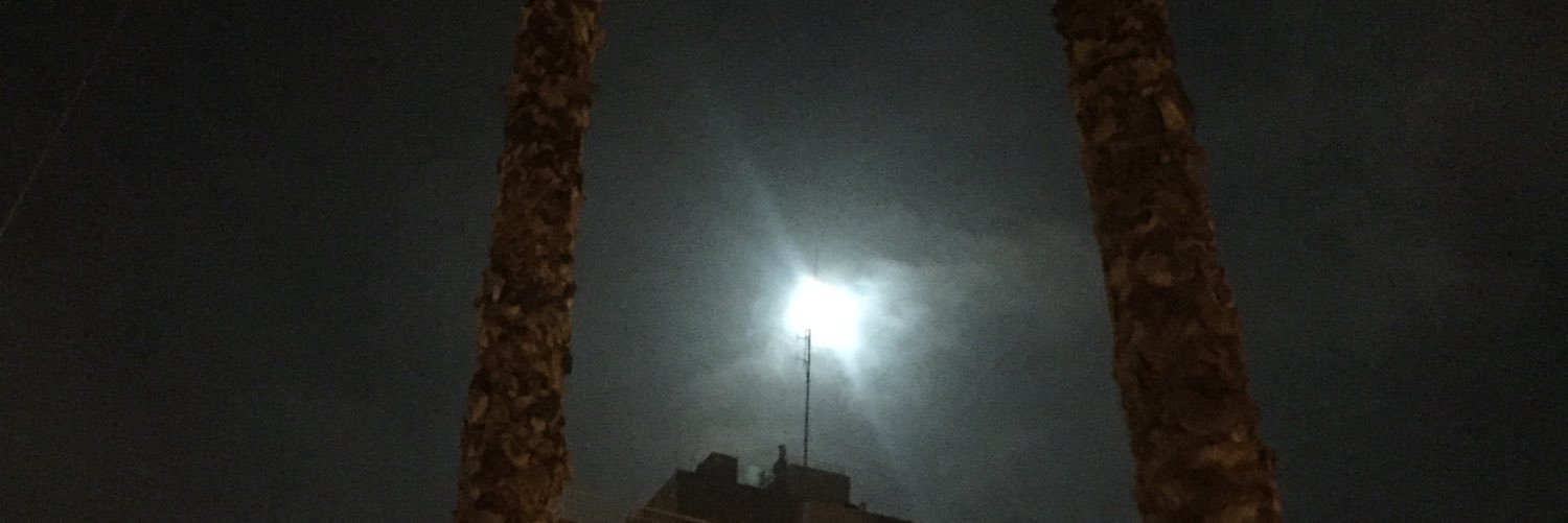 Fake, the original בגיניסט banner