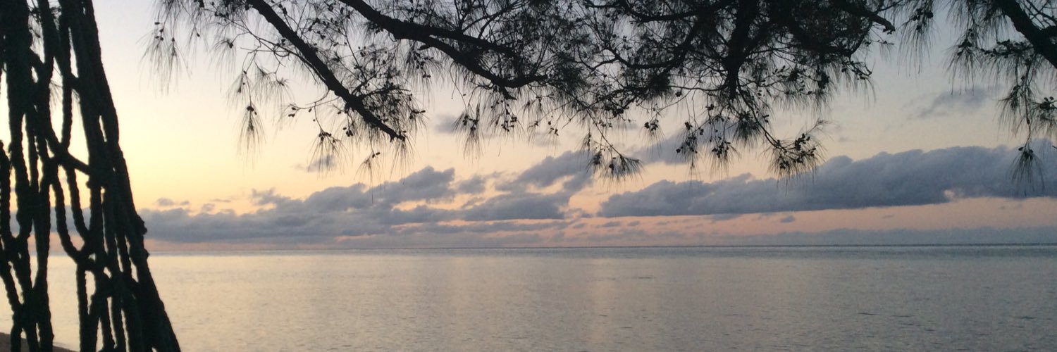 Blandiedoc's profile banner image