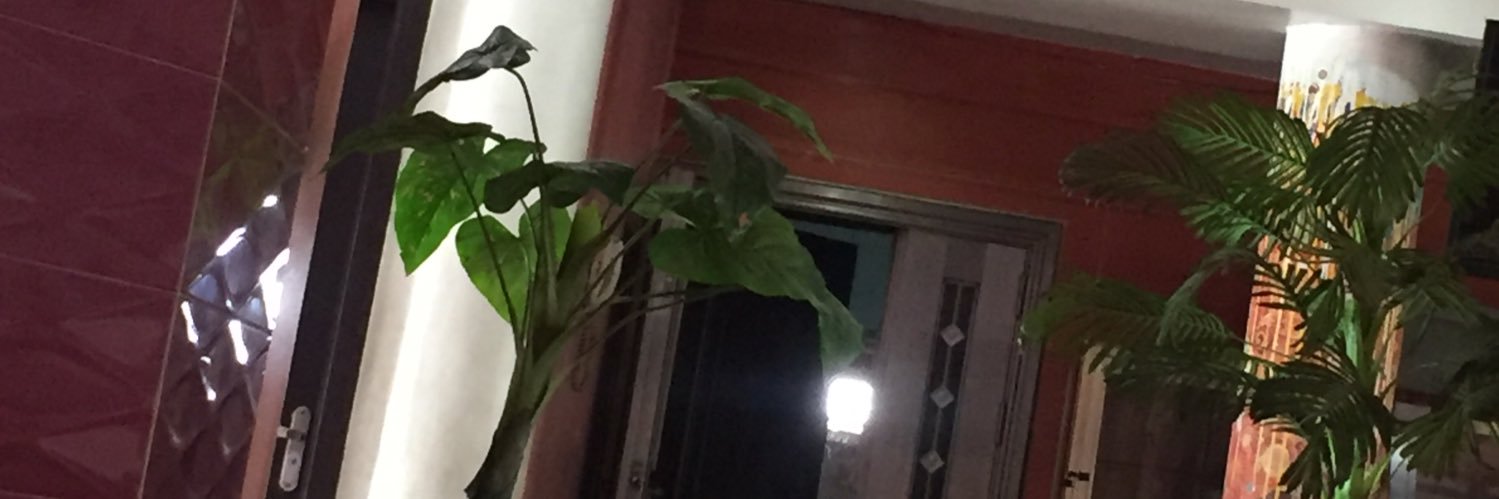 akintoye__'s profile banner image