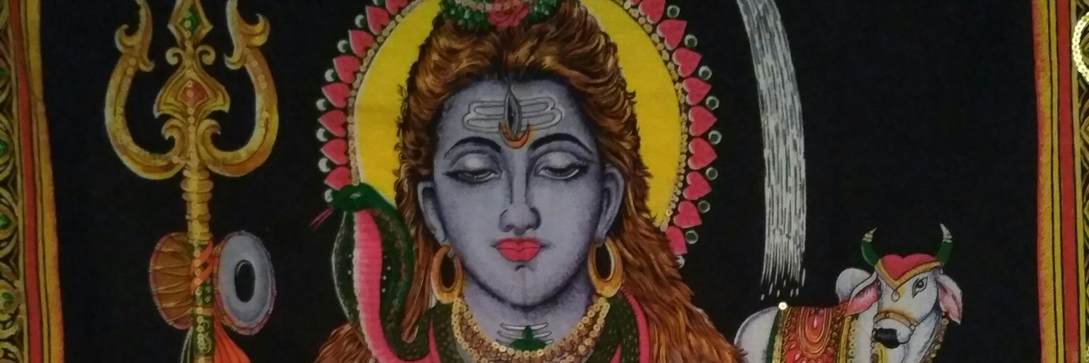 Pedromi274's profile banner image