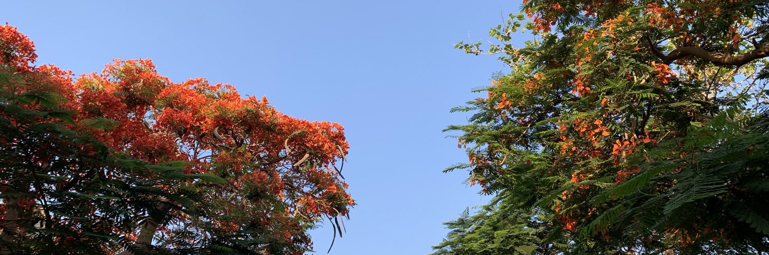 Ahrushdy's profile banner image