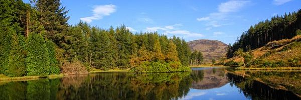 CanadianKen Profile Banner