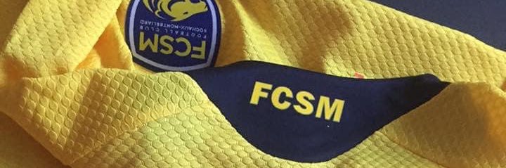 Christophe Froppier banner