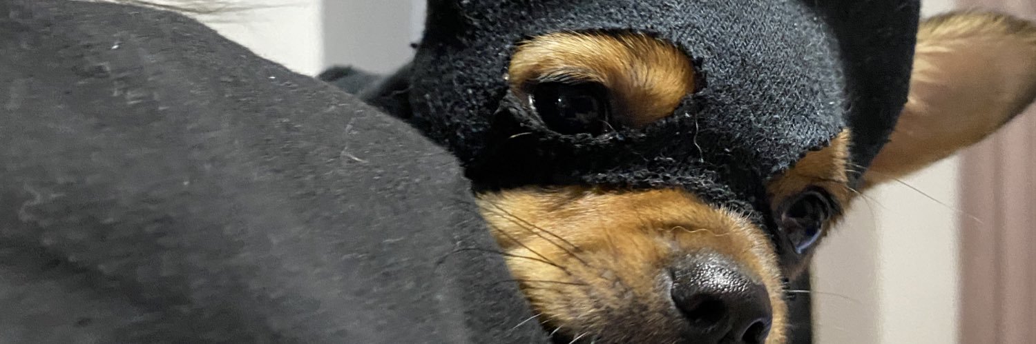 Jafetroco's profile banner image