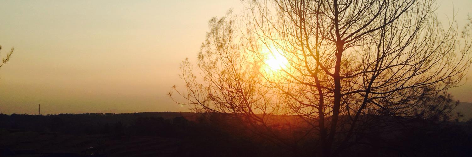 feilla_'s profile banner image