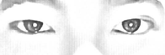 biscuittown1's profile banner image