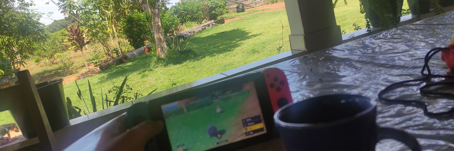 elvis_ssb's profile banner image