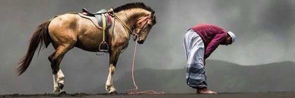 NarmerBis Profile Banner